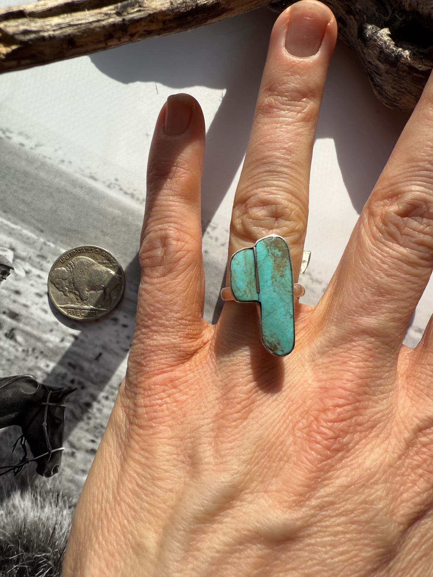 1/2 Saguaro Rings