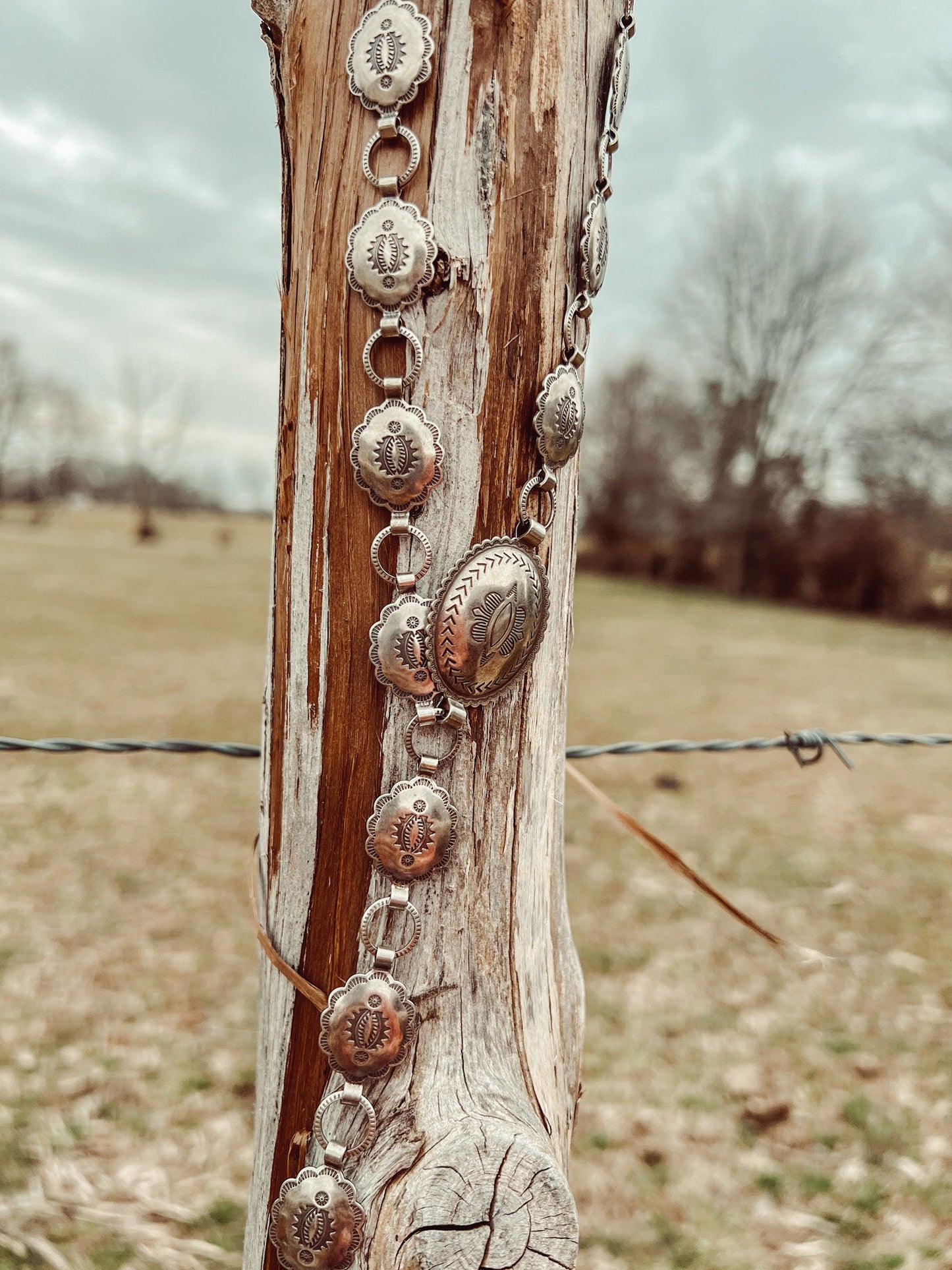 Tiny Concho Belt