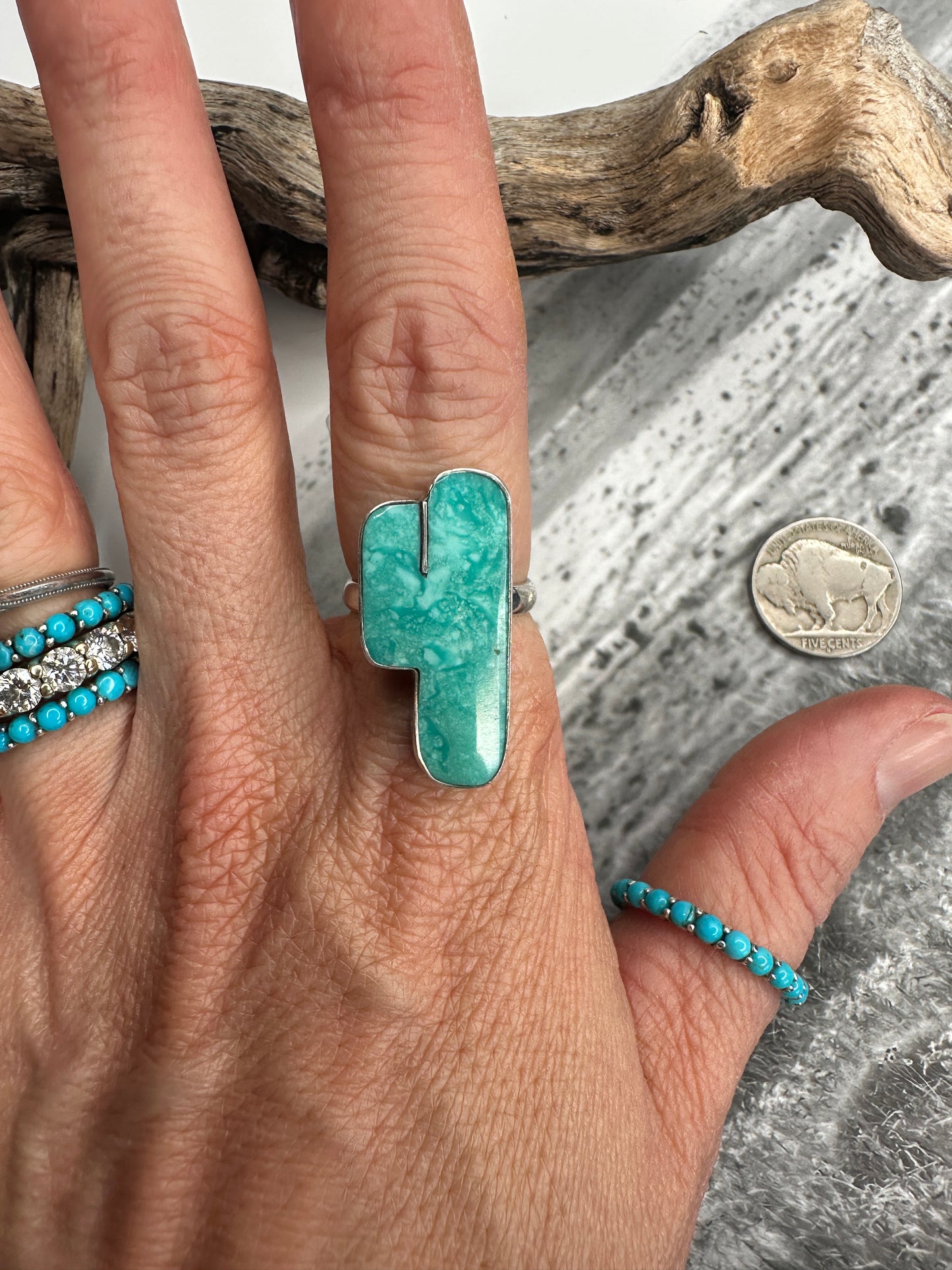 1/2 Saguaro Rings