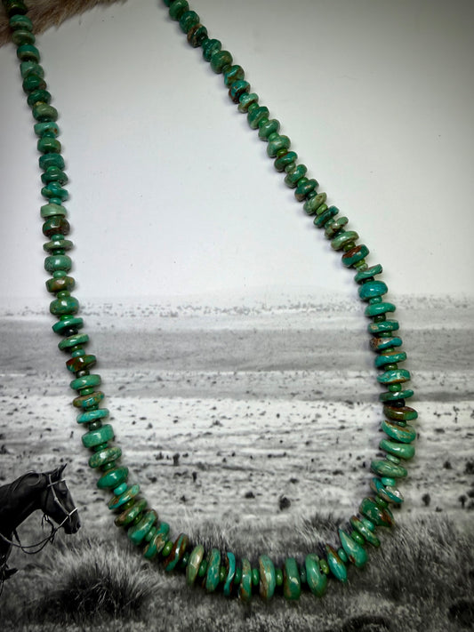 Graduated Royston Turquoise Strung Necklace