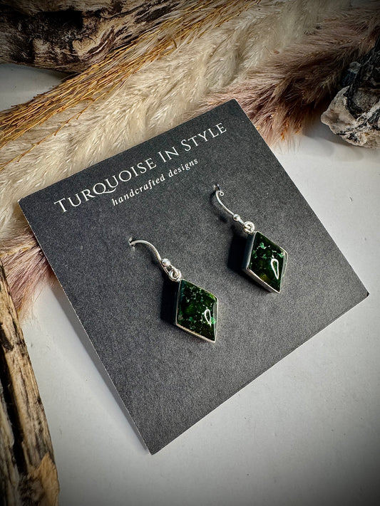 Deep Sonoran Gold Earrings