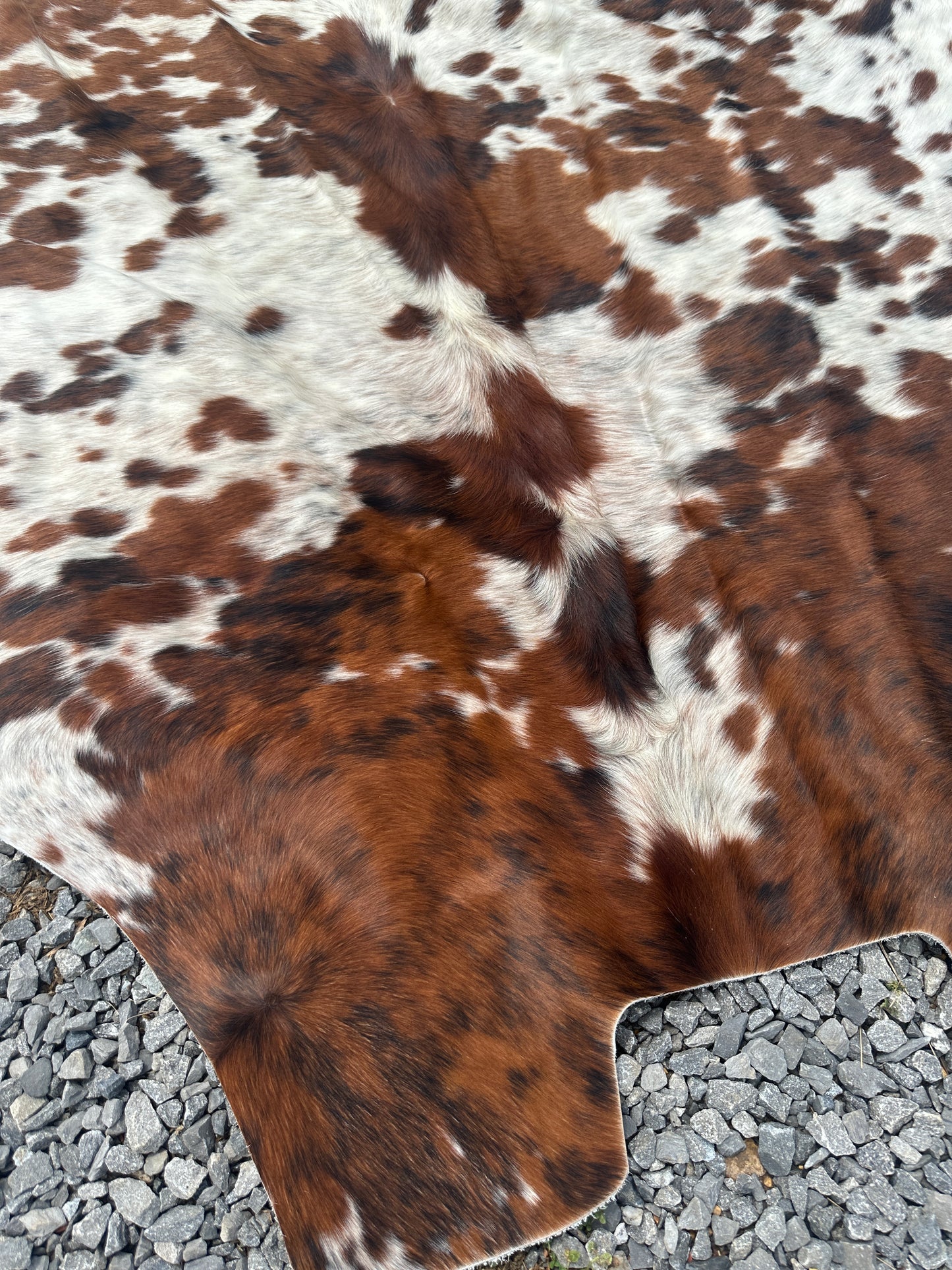 Cowhide #2