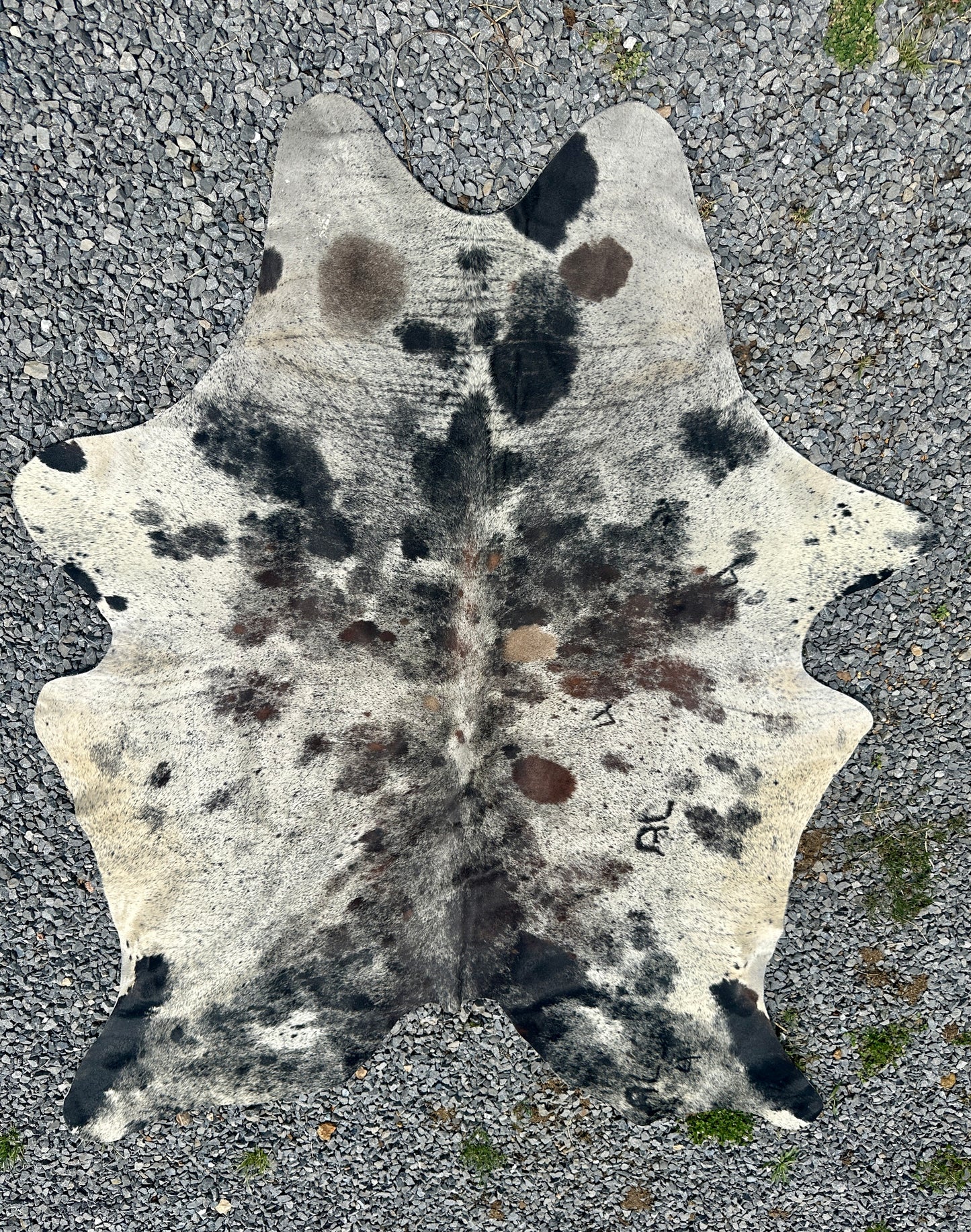 Cowhide #3
