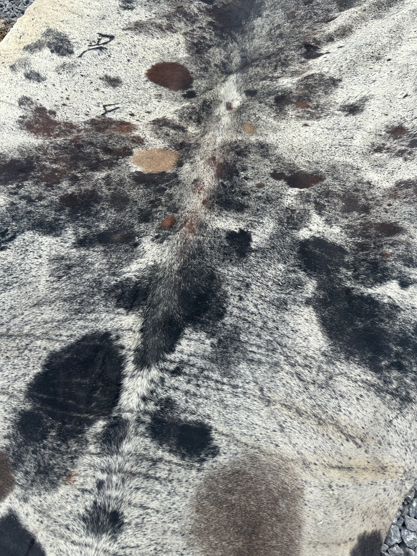 Cowhide #3