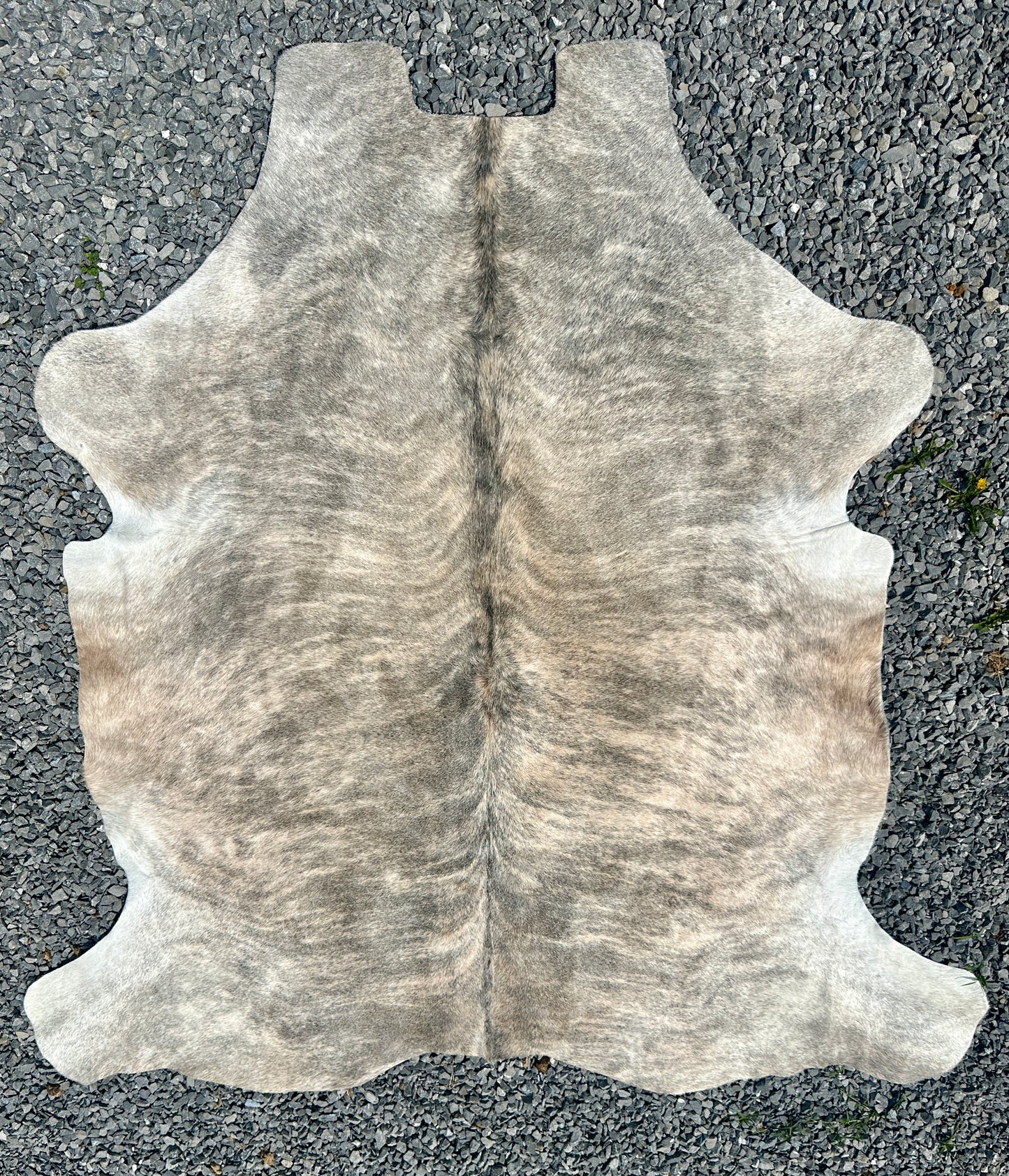 Cowhide #4