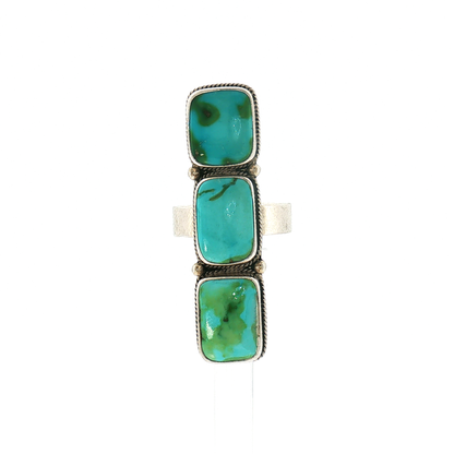 Megan's Vaulted Sonoran Ring- 8