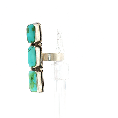 Megan's Vaulted Sonoran Ring- 8