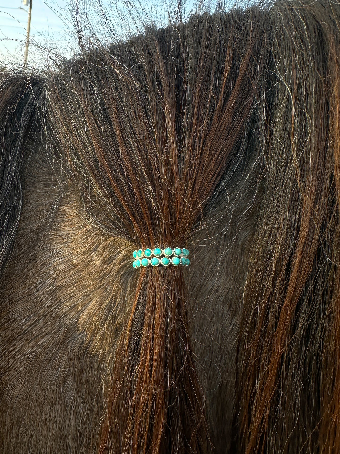 TIS Exclusive Turquoise Bands