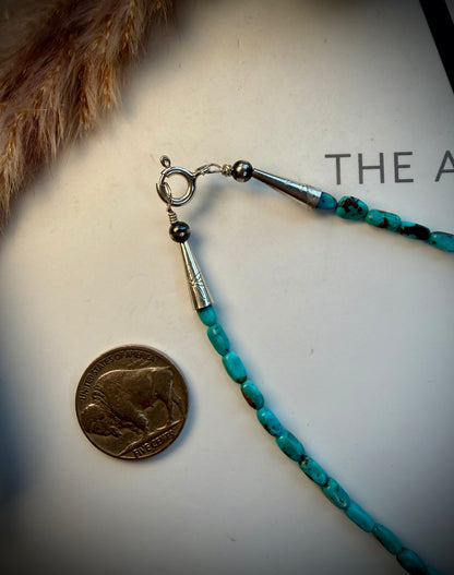 Charlene Little Cloud Mountain Turquoise Beaded Necklace