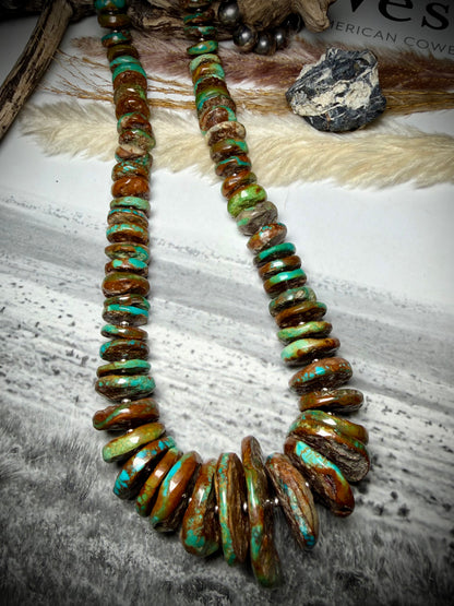 Megan's Huge Graduated Royston Disc Necklace