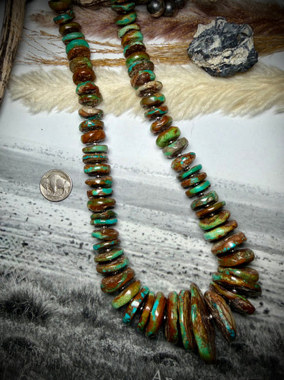 Megan's Huge Graduated Royston Disc Necklace