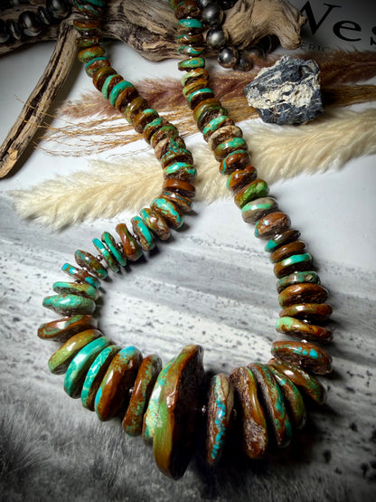 Megan's Huge Graduated Royston Disc Necklace