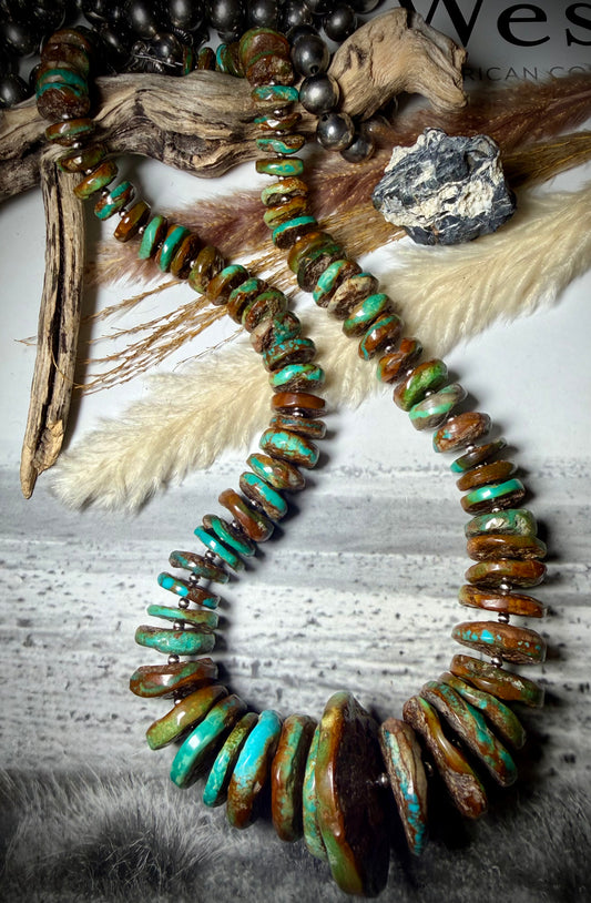 Megan's Huge Graduated Royston Disc Necklace