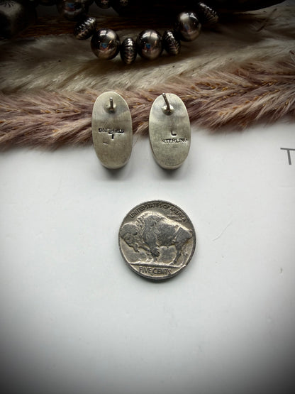 White Buffalo Studs