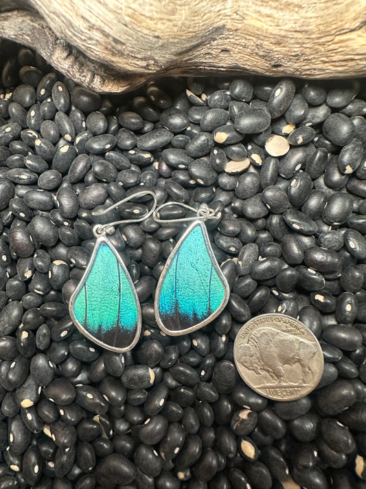 Large Butterfly Wing Earrings