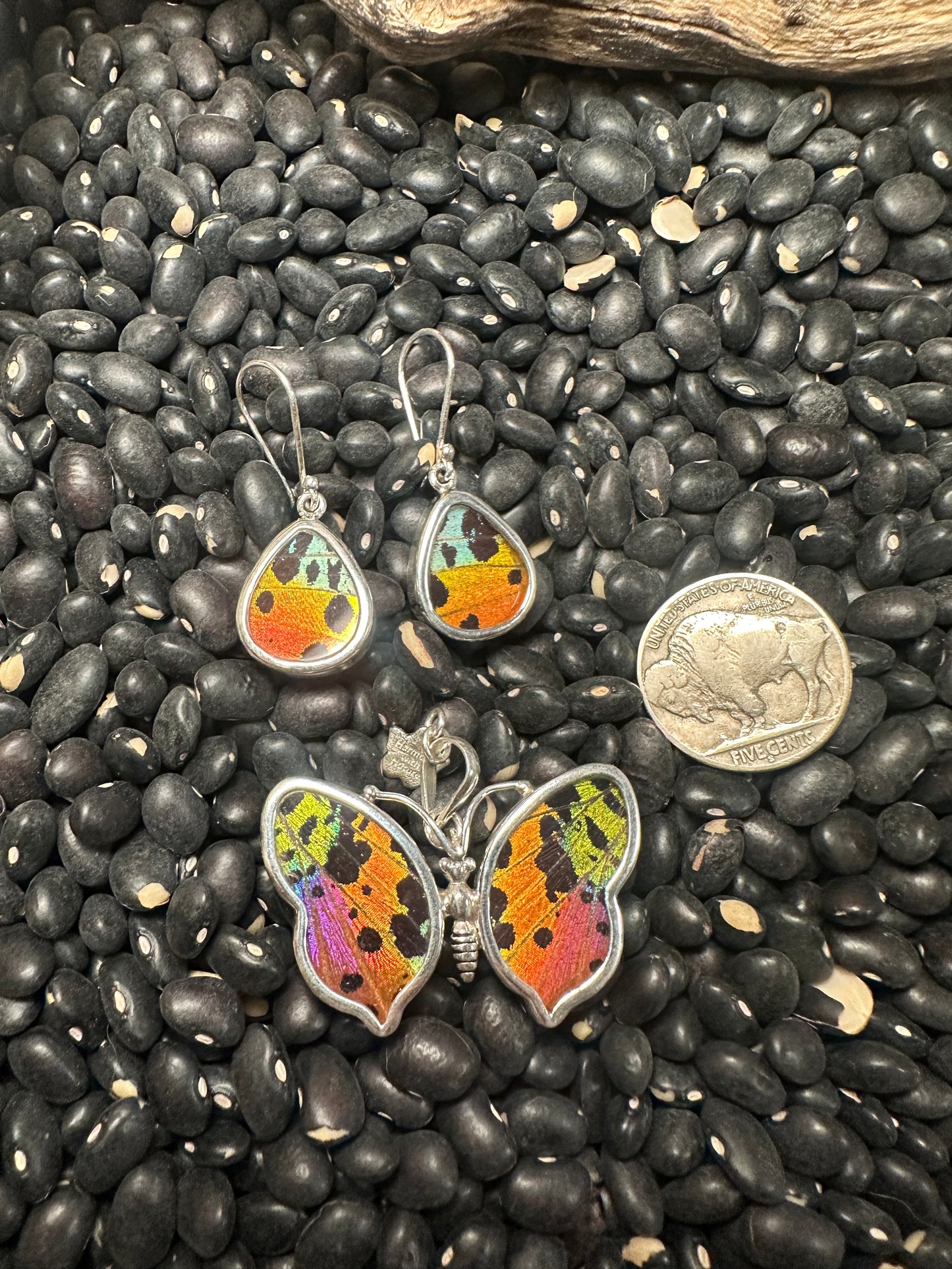 Medium Butterfly Wing Set