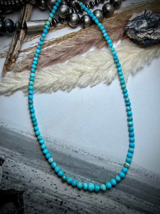 Whitewater Turquoise Graduate Beaded Necklace