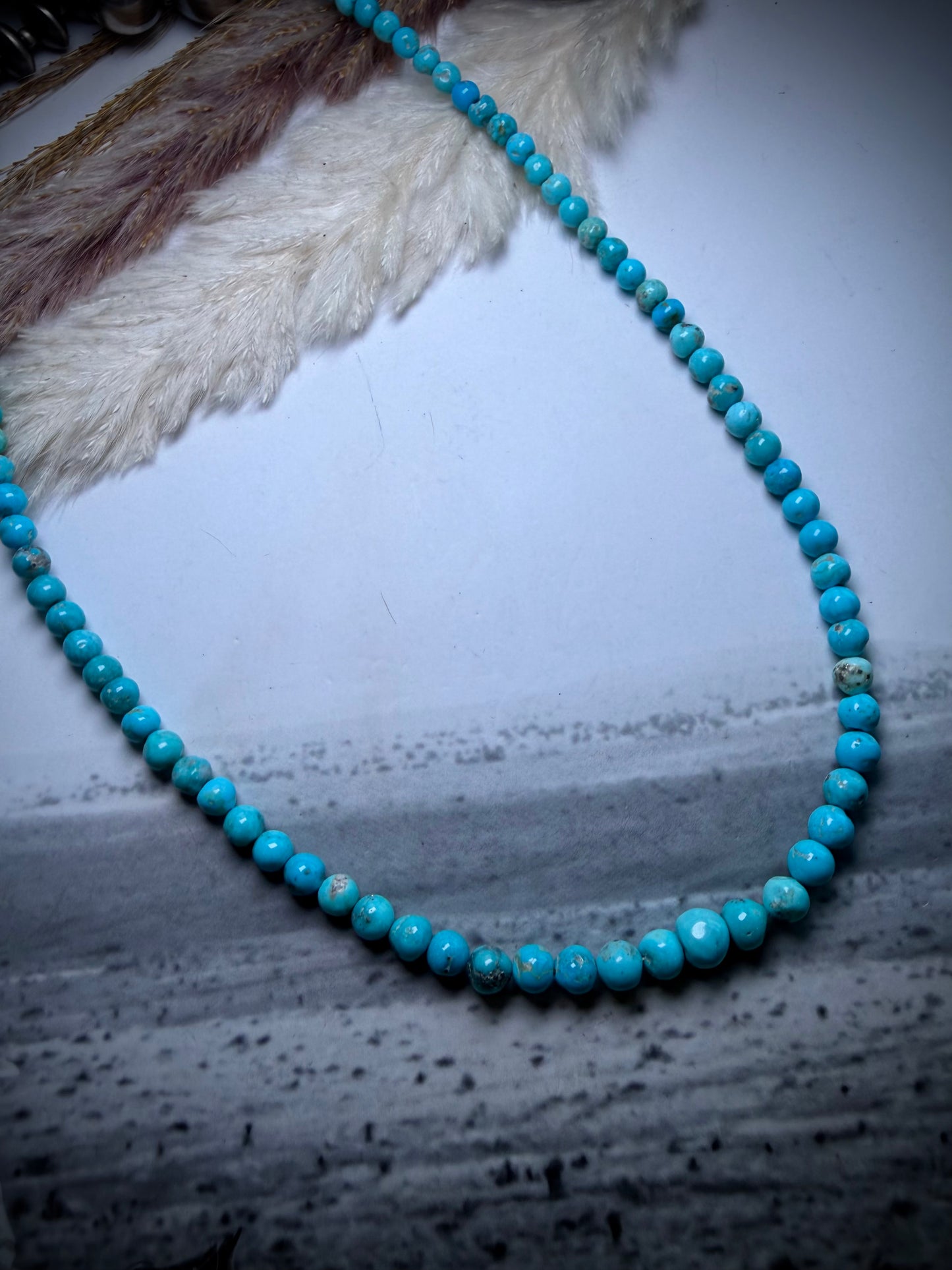 Whitewater Turquoise Graduate Beaded Necklace