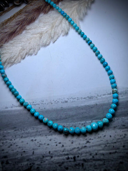 Whitewater Turquoise Graduate Beaded Necklace