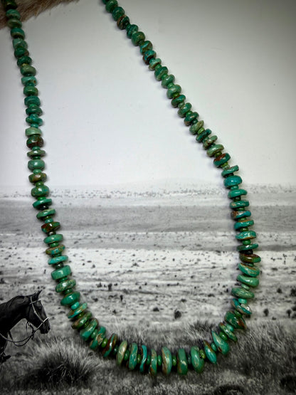 Graduated Royston Turquoise Strung Necklace