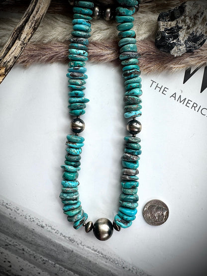 20" Turquoise Disc with Pearls Necklace