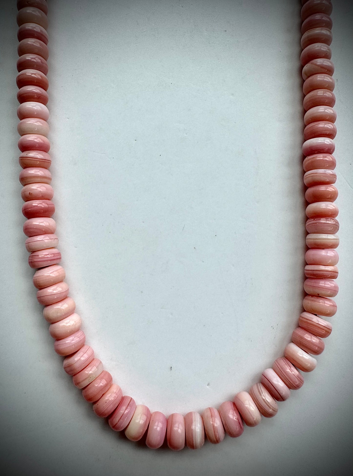 17" Pepto Pink Conch Rondelle Necklace