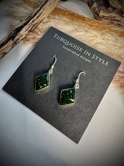 Deep Sonoran Gold Earrings