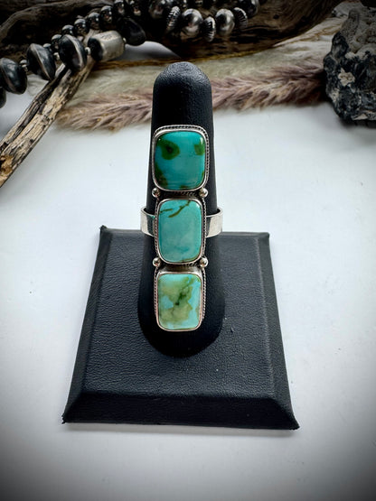 Megan's Vaulted Sonoran Ring- 8