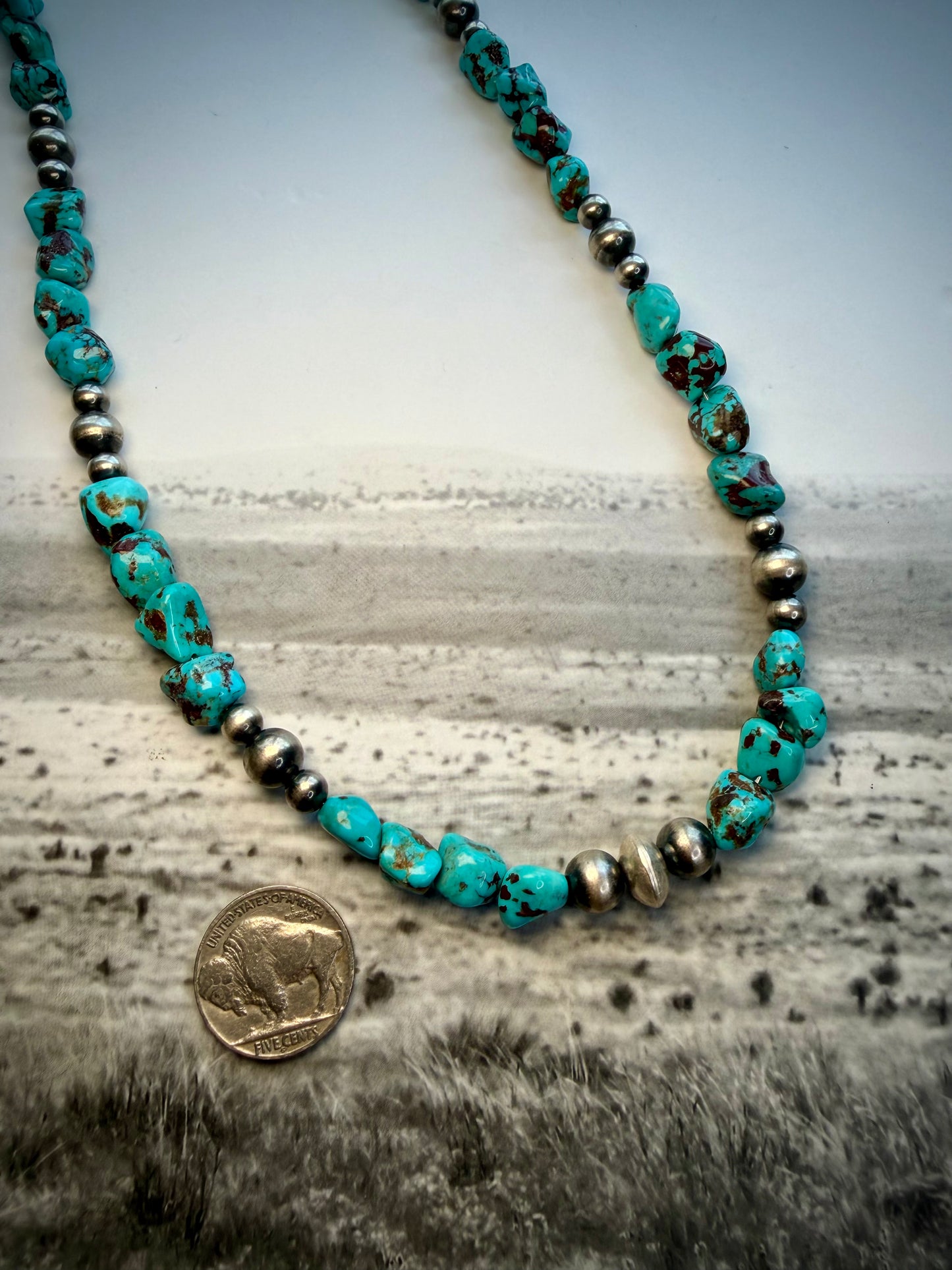 Charlene Little Cloud Mountain Turquoise Beaded Necklace