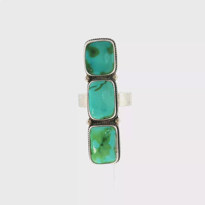 Megan's Vaulted Sonoran Ring- 8